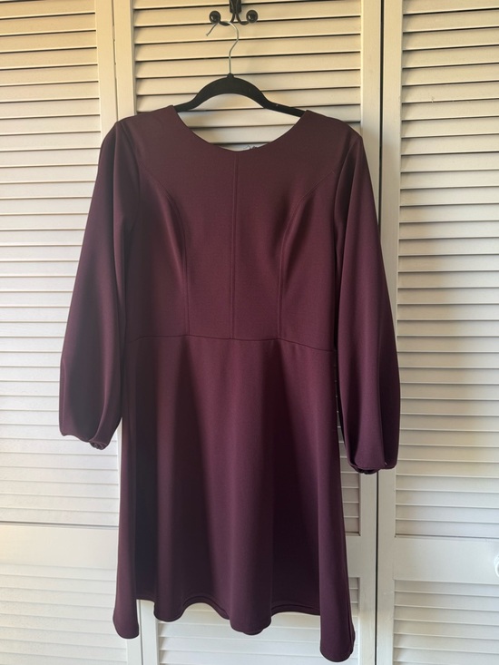Express Dresses & Skirts - Express Long Sleeve Fit-and-Flare Dress in Wine